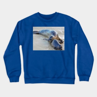 Snuggling seals Crewneck Sweatshirt